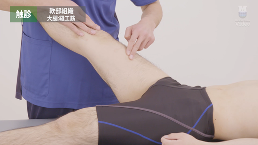 TKA 筋力低下 セッティング ｜ Medical*Online Video