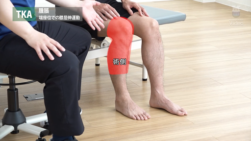 動画でわかる関節運動療法 動画でわかる関節運動療法 : 矢田定明 | HMV&BOOKS online