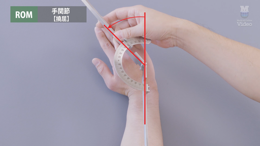 ROM 手関節 ｜ Medical*Online Video