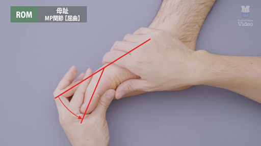 ROM 母趾 ｜ Medical*Online Video