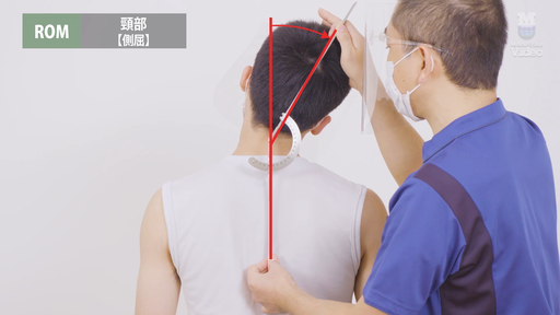 ROM 頸部 ｜ Medical*Online Video