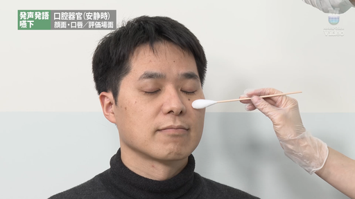 口腔顎顔面領域の異常と言語障害 ― 器質性構音障害治療のポイント 器質性構音障害治療のポイント 口腔顎顔面領域の異常と言語障害 ―