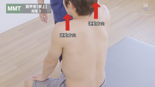 三輪書店オンラインショップ / 動画で学ぶ臨床で使える評価法