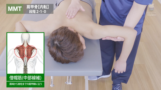 投球障害肩 アライメント評価（肩甲胸郭機能） ｜ Medical