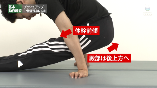 基本動作練習 プッシュアップ C7機能残存レベル ｜ Medical*Online Video