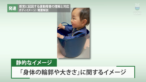 言語発達 概要解説 ｜ Medical*Online Video