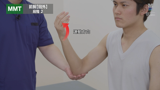MMT 股関節 屈曲､外転､および膝関節屈曲位での外旋 ｜ Medical*Online Video