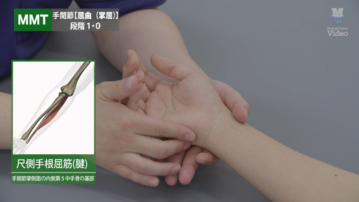 スプリント ガントレットサムスパイカスプリント ｜ Medical