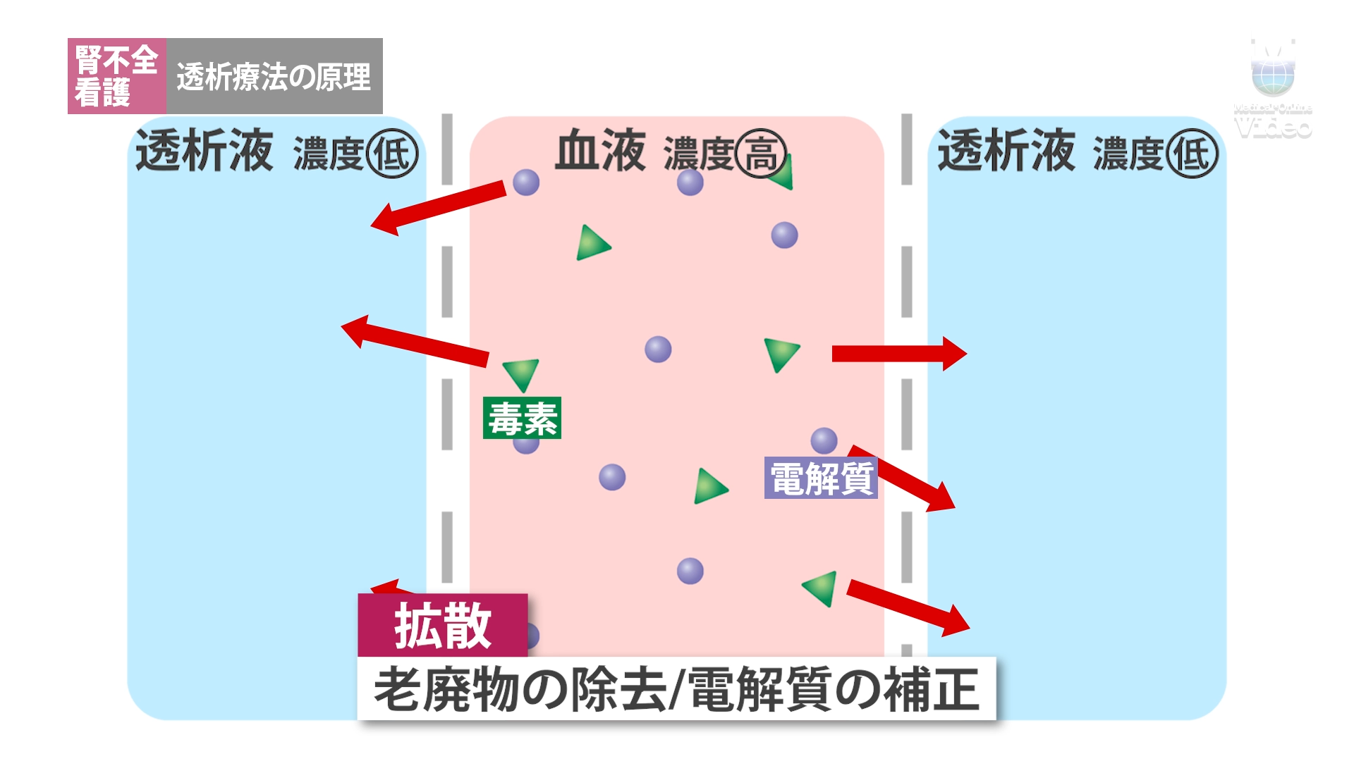 安全管理 透析室の災害対策 ｜ Medical*Online Video