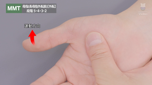 ハンドスプリント 作り方用い方 ハンドスプリントのつくり方 - YouTube