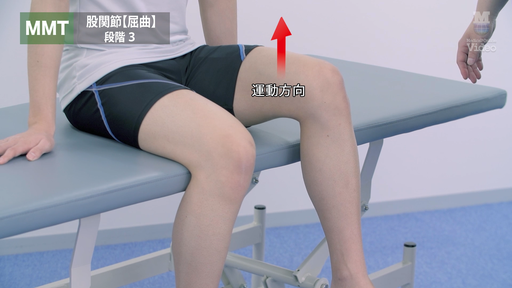 姿勢 TCT（Trunk Control Test） ｜ Medical*Online Video